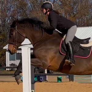 Meet your Posher, Ali